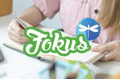 portada-curso-fokus